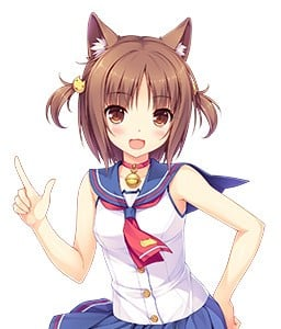 红豆