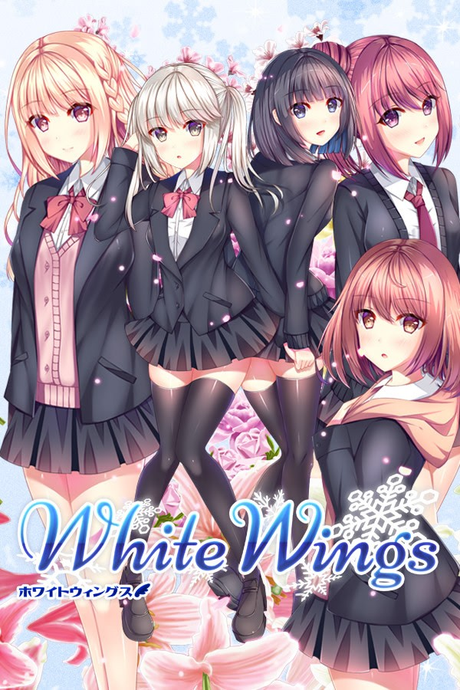 白色之翼