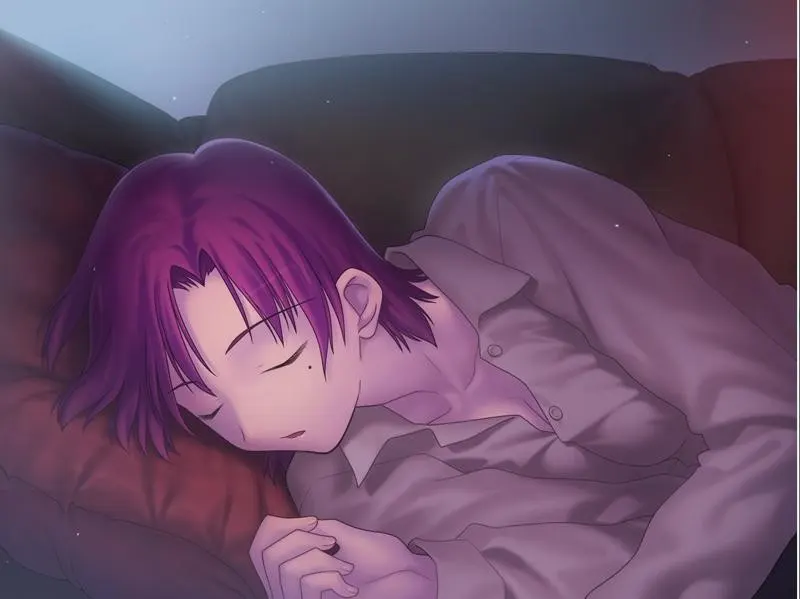 Fate/hollow ataraxia 截图 7
