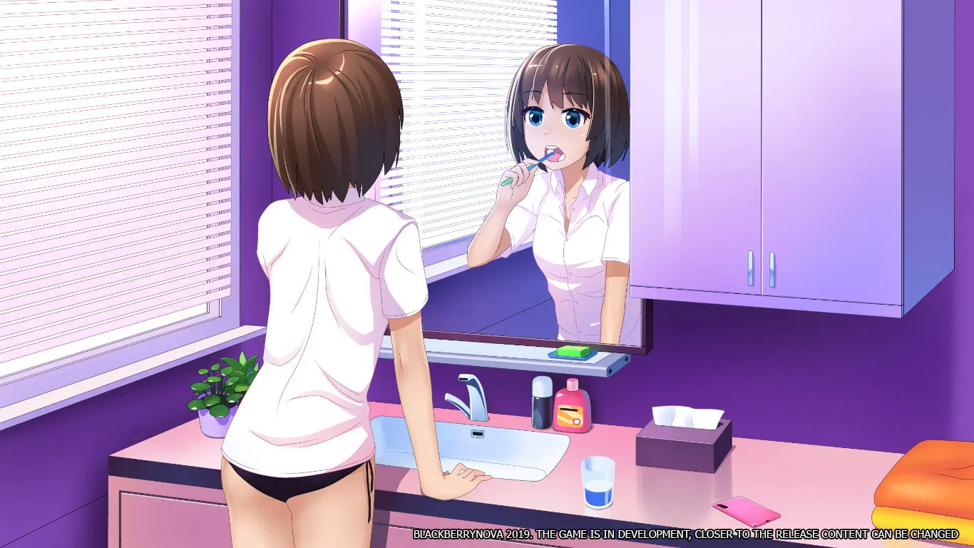 BlackberryNOVA 截图 3